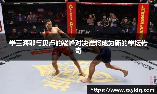 星空·综合体育