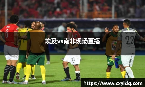 星空·综合体育中国官方网站