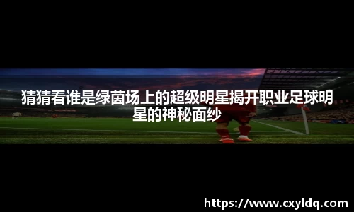 星空·综合体育