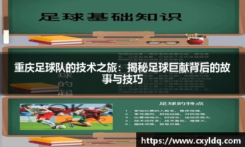 星空·综合体育官方网站