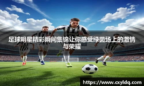 星空·综合体育官方网站