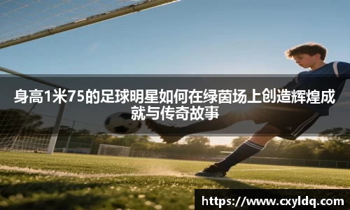 身高1米75的足球明星如何在绿茵场上创造辉煌成就与传奇故事